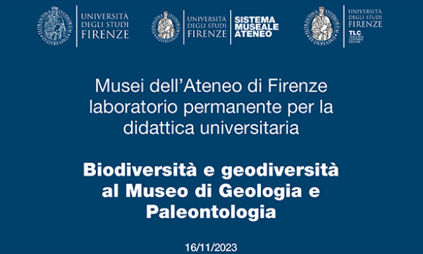 Biodiversità e geodiversità al Museo di Geologia e Paleontologia.
